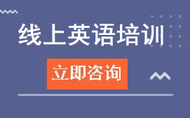 深圳南山区英语网课培训班