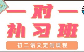 青岛初二语文一对一辅导