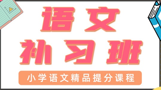 青岛小学语文一对一辅导