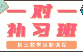 青岛初三数学一对一辅导