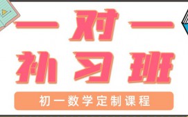 青岛初一数学一对一辅导