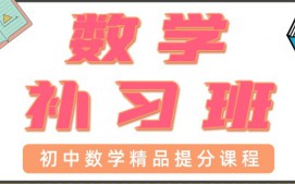 青岛初中数学一对一辅导