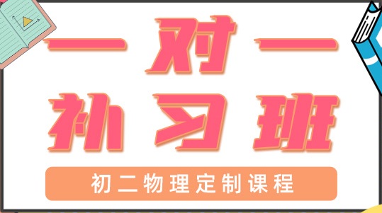 青岛初二物理一对一辅导