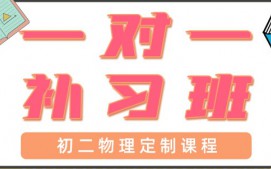 青岛初二物理一对一辅导