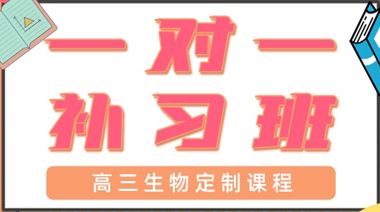青岛高三生物一对一辅导