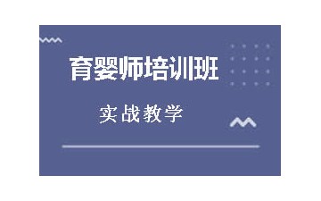 东莞石龙哪里有育婴师培训班