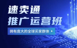 深圳龙岗区速卖通推广运营培训班
