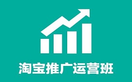 深圳龙岗区淘宝推广运营培训班