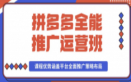 深圳龙岗区拼多多运营培训班