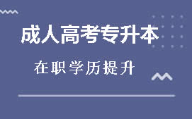 东莞莞城区成人高考专升本培训班